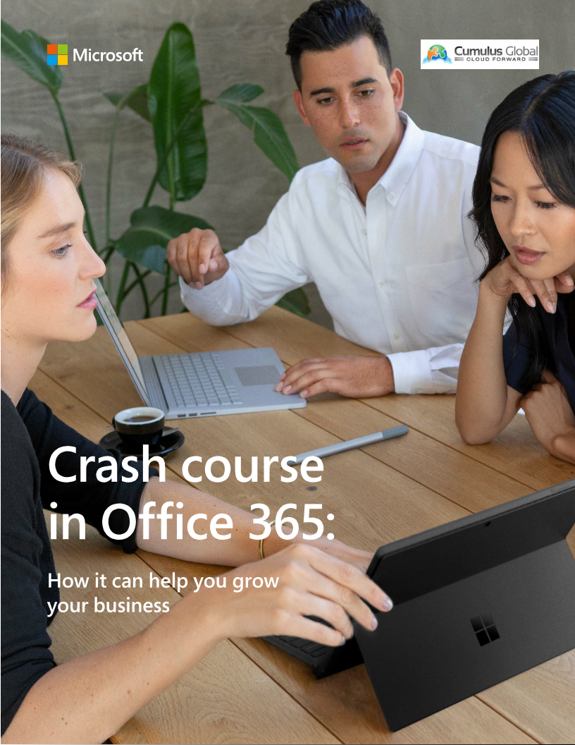 microsoft office crash course