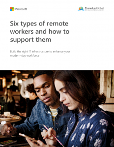 Six Types of Remote Workers